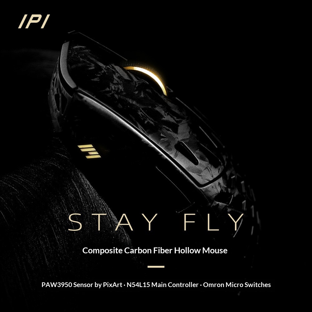 IPI FLY Carbon Fiber Kabellose – Esports Wireless Gaming Mouse Bewertung und Preis